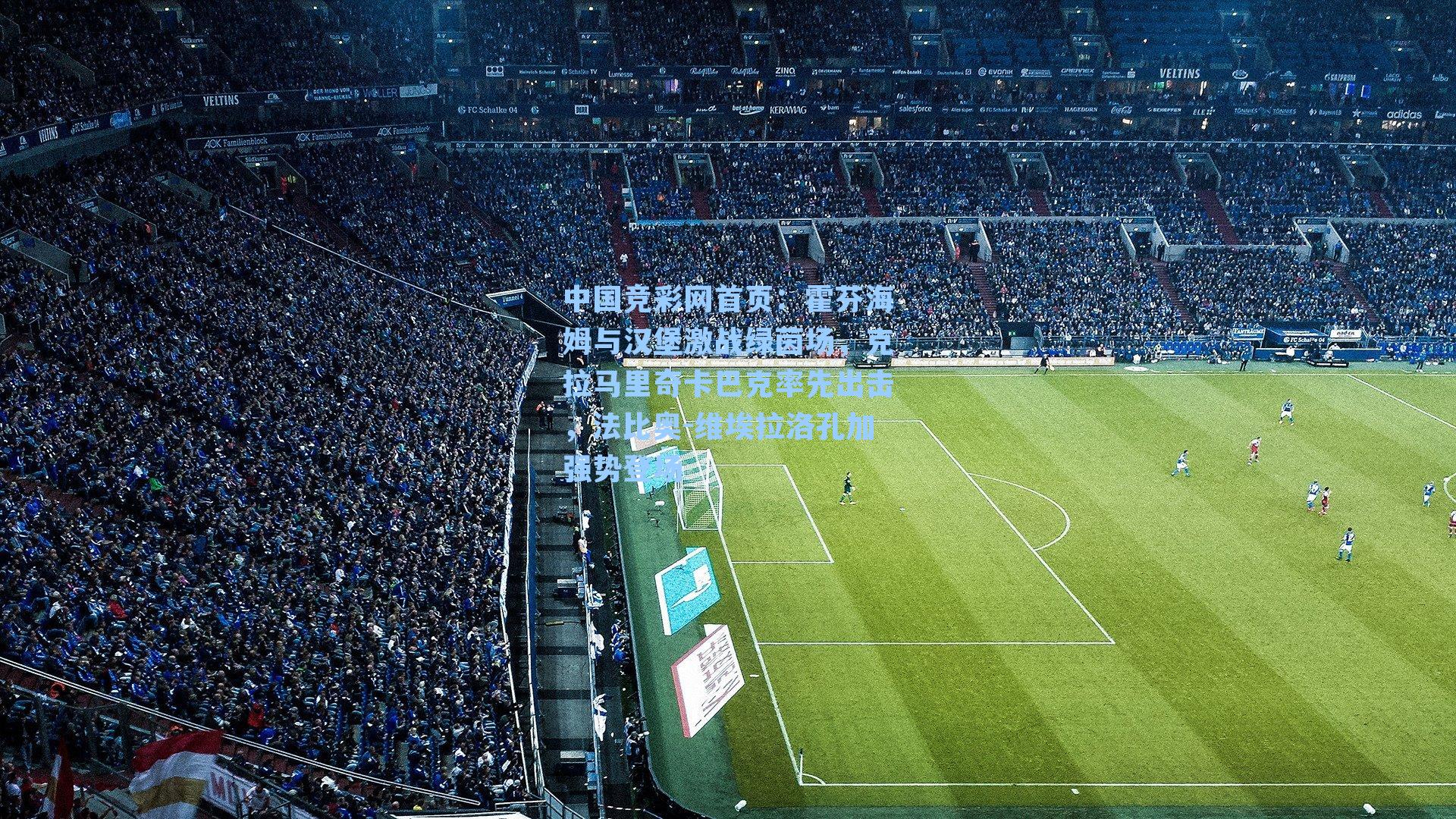 霍芬海姆与汉堡激战绿茵场，克拉马里奇卡巴克率先出击，法比奥-维埃拉洛孔加强势登场