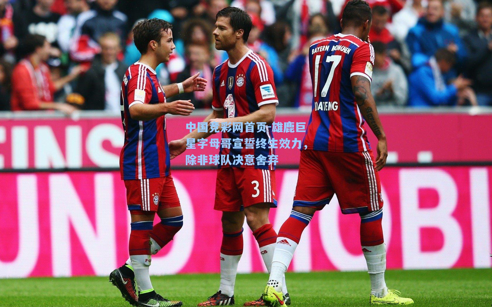 中国竞彩网首页-雄鹿巨星字母哥宣誓终生效力，除非球队决意舍弃