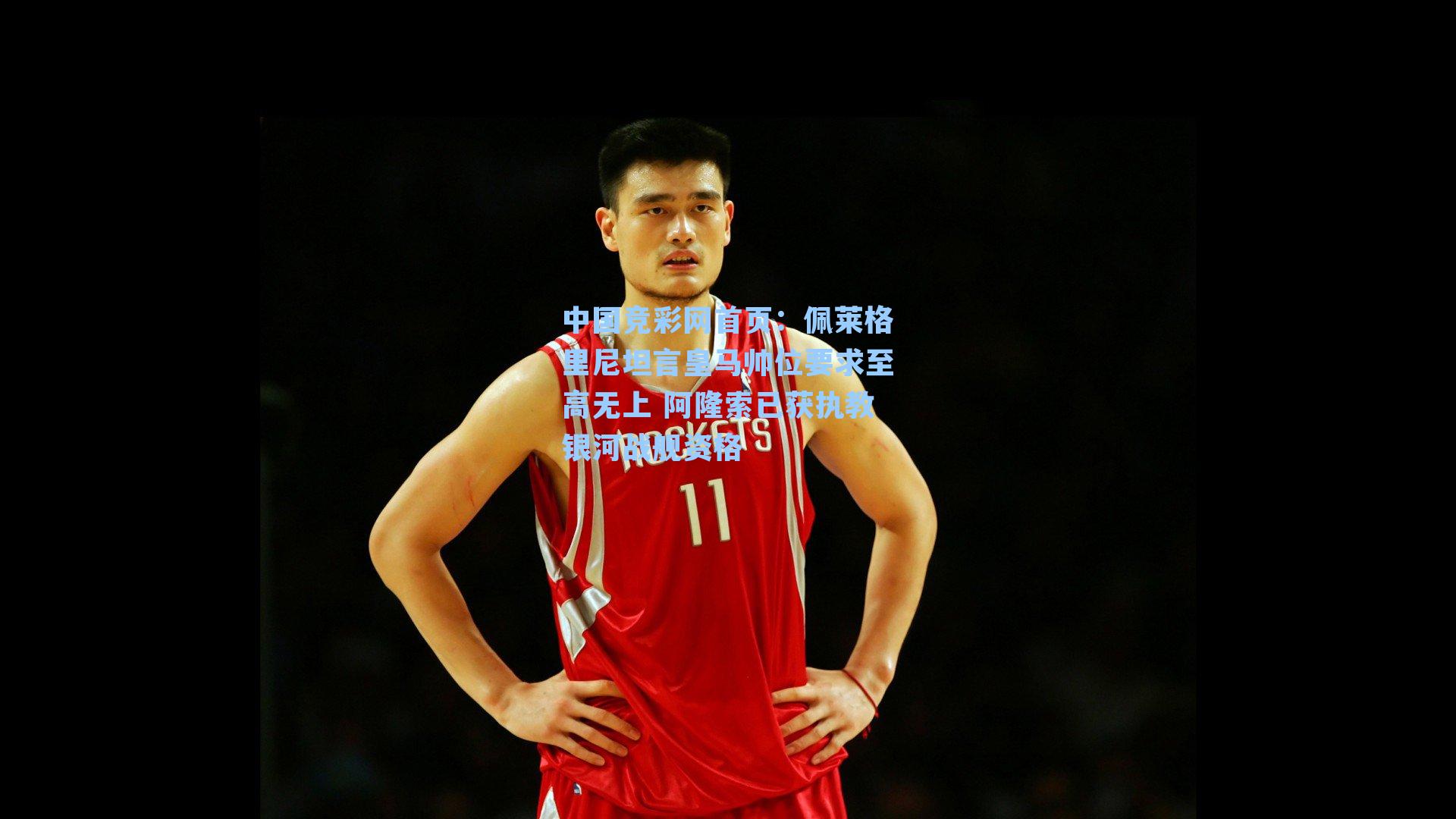 佩莱格里尼坦言皇马帅位要求至高无上 阿隆索已获执教银河战舰资格